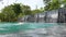 A man in summer short jumps and dives into water in the swimming pool outdoor.