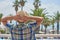 Man in sunhat relaxing against amazing sea view. Back view