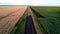 A man at sunset rides a bicycle along a yellow wheat field and along a green field