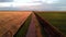 A man at sunset rides a bicycle along a yellow wheat field and along a green field