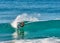 Man surfing glassy-wave in Australia