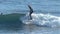 Man Surfing on a Wave in Santa Cruz California