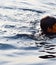 Man swim's inside Yamuna river in Delhi India during morning time, Swimming inside Yamuna River