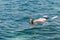 Man swimming in blue shallow sea.