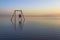 Man On a Swing In the Water At the Salton Sea