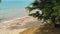 Man swinging on rope swing under tree. Aerial view sandy sea coast