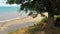 Man swinging on wooden swing under tree on beach