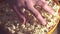 A man takes fresh hot popcorn from a bowl. A male hand picks popcorn from a bucket.