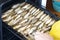 The man takes out a baking sheet of river fish from the oven. Checks the quality of drying. The fish lies in rows, shot close-up