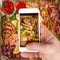 A man takes pictures of food on his phone. Shrimp, snack, fruit, meat, vegetables. A picture of food on your phone screen