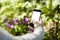 Man taking photo picture by mobile phone in a travel journey, green plants in a park. Focused on phone screen. Blank screen space