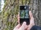 Man taking photo of tree trunk