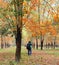 A man taking photos at the autumn forest in Kiengiang, Vietnam