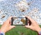 Man taking pictures of a swarm of migratory locusts