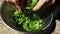 A man is tearing lettuce leaves in a bowl