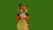 Man in tiger costume dances on green screen chromakey 4:2:2 10 bit. Symbol of 2022 New Year. Christmas sales and
