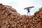 Man on top of pile of logs