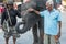 The man touch the baby elephants . on October 28, 2015 in Samutprakarn, Thailand.