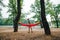 Man touches a hammock on a tree in the park with a beautiful view of the waterfront and the bridge. Tourist hangs a hammock on a