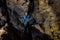 Man tourist in camouflage suit explores cave