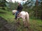 Man tourist on horseback traveling in the taiga of the Mountain Altai