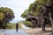 Man tourist riding a bike on Rottnest Island, Western Australia. Travelling by bicycle