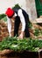 Man in traditional peasant dress preparing onions