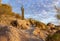 Man Trail Running On Desert Hiking Trail Near Phoenix