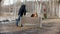 A man training german shepherd dog on the training field - a dog jumping over the barrier after the stick