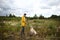 Man training Labrador Retriever on green meadow