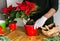 Man transplanting Poinsettia Christmas flowers