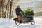 Man transporting Christmas tree on cargo bike