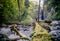 Man Traveler crossing river on log outdoor