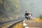 Man traveling with his dog by train