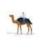A man travels on a camel on white background.