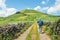 A man with trekking poles walking along a country road, Azores,