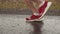 Man triathlete legs in red sneakers run on asphalt during rain, side view, closeup. Athlete runs along road during