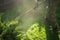 Man with trimmer mows grass in yard