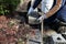 A man trimming and cutting dead branches from a tree during spring garden work