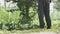 Man trimming grass in a garden using a lawnmower