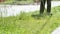 Man trimming grass in a garden using a lawnmower