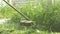 Man trimming grass in a garden using a lawnmower