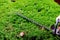 A man trimming hedge with trimmer machine