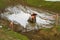 Man trying to get out his motorycle from the dirt, on the motocross track.