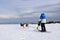 Man with two sled dogs, cold windy winter day, high mountain plateau