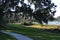 Man under the willow tree looking at the pond