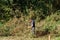 Man undertaking conservation work alongside River Yare