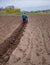 Man using a cultivator in a field on a farm, before planting potatoes