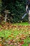 A man using a leaf blower machine to clear autumn leaves from a garden during fall