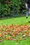 A man using a leaf blower machine to clear autumn leaves from a garden during fall